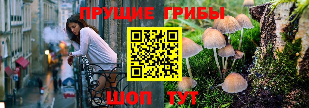 Галлюциногенные грибы Magic Shrooms Саранск