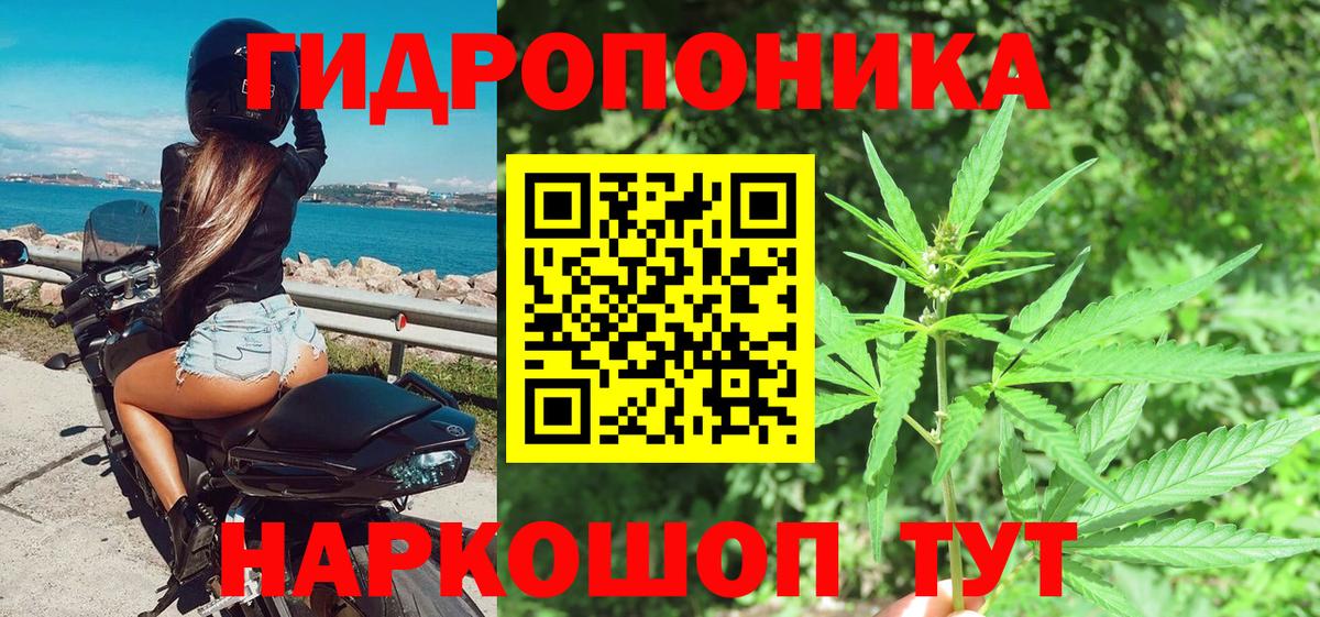 Саранск  Канабис Amnesia  Марихуана план  МАРИХУАНА гибрид  Бошки марихуана семена  Вход с VPN 